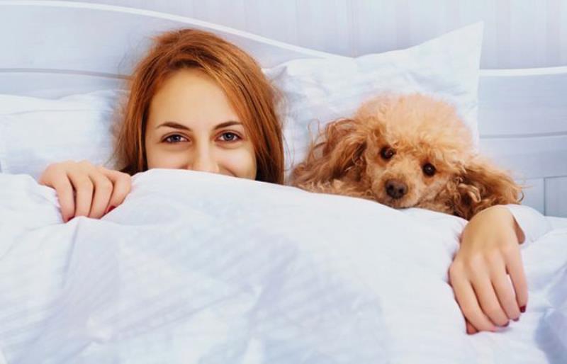 Κοιμάσαι αγκαλιά με τον σκύλο σου; Και πολύ καλά κάνεις