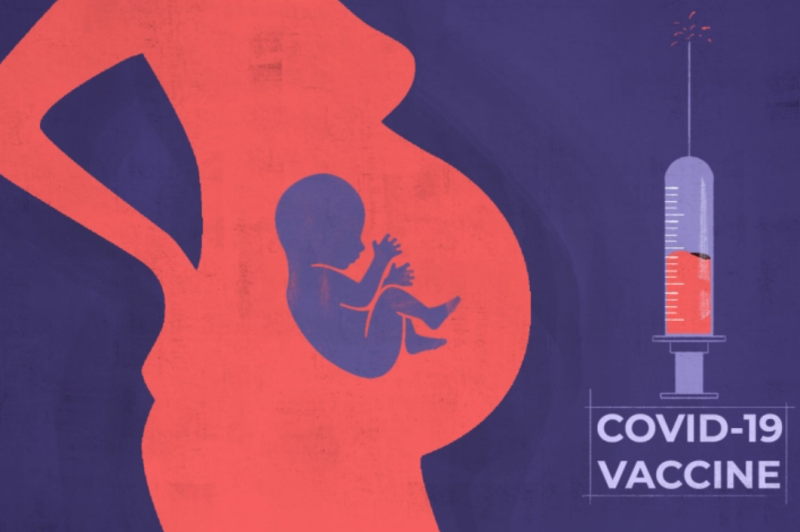 Πόσο επηρεάζει το εμβόλιο τη γονιμότητα – Έρευνα απαντά