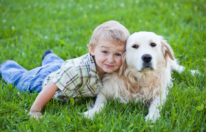 Ποιοί είναι οι βασικοί παράγοντες που καθορίζουν την σχέση του παιδιού με τον σκύλο?